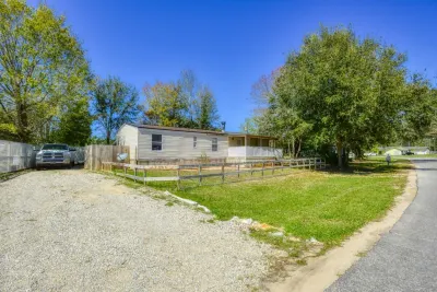 The Ailanthus Cottage