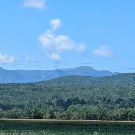 Stowe Retreat Mountain Views & Fenced Backyard by RedAwning