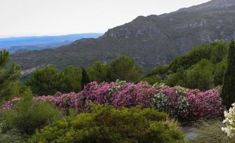 Casa Pino with Private Pool and Garden