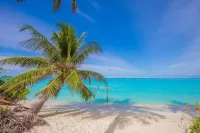 HI HEAVEN MALDIVES - Beach