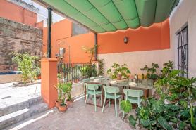 جينتيل هوم تينتيس