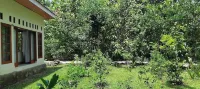 Amini Guest House Hotels in Pracimantoro