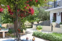 Ballas Apartments Hotels in Erisos