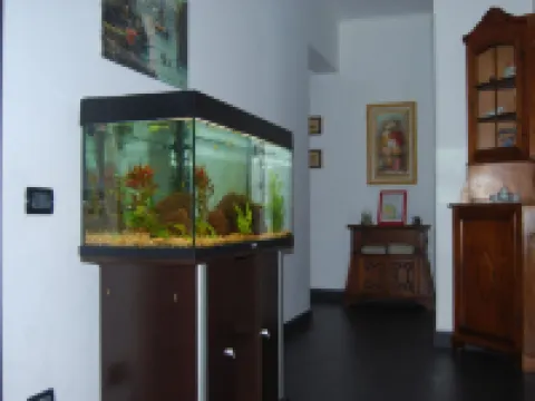 Casa MaMa Hotel a Sestri Ponente