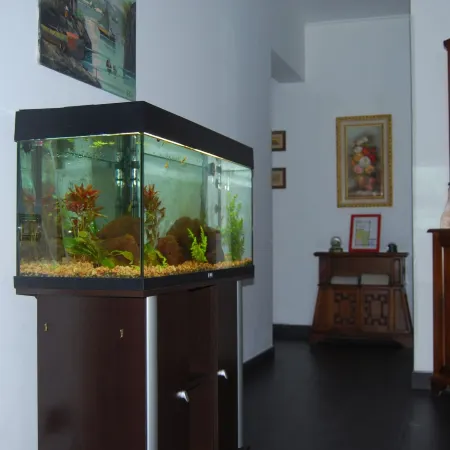 Casa MaMa Guesthouse