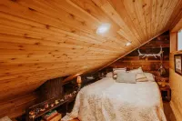 Treehouse over the Water - Eagle's Nest - Chalets