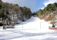 Wonderful Stay Near the Beach/Sea Hotels in Petten