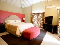 Spacious 3 bedroom villa with pool in Red Pond Hotels in Guana Bay