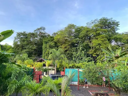 Whale Melody Marabi Bahia whale