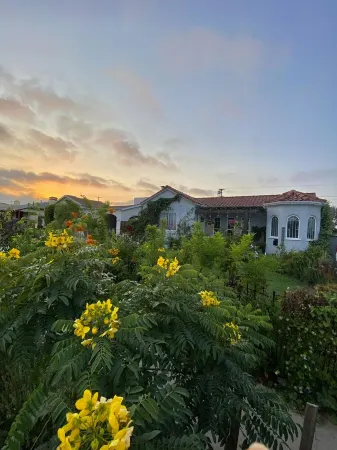 Garden oasis - 4 bedroom home centrally located Отели рядом с достопримечательностью «Южный Лос-Анджелес»