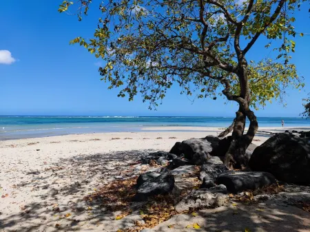 Designer Luxury 3 Beds with Pool, Patio & Sundowners Отели в г. Флик ан Флак