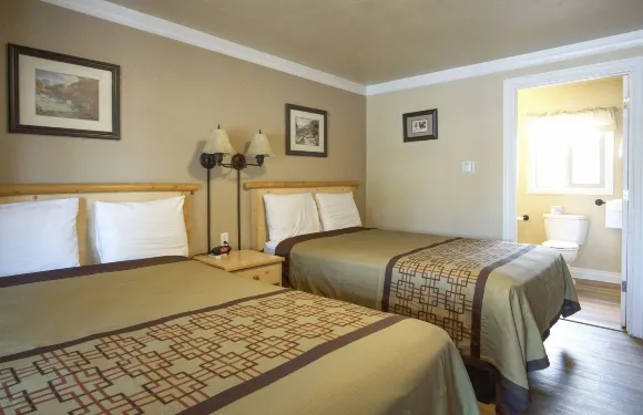 綠牆汽車旅館套房酒店