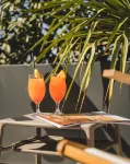 Hotel Aurel - spa