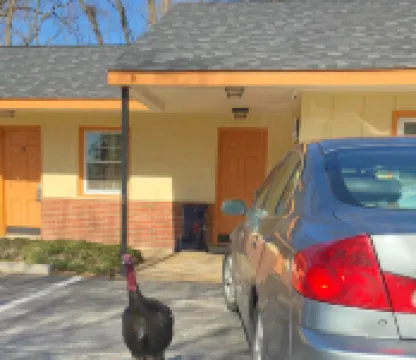 Sentinel Motel