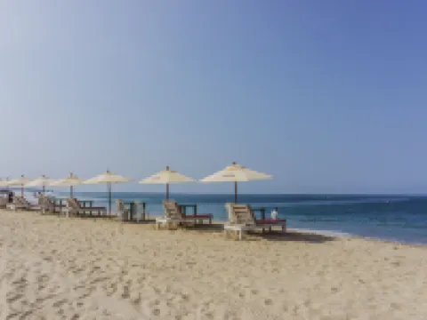 Nomad Beach House - Hostel Hotels in San Pedro Mixtepec