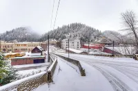 距滑雪場13英里：市中心華萊士帶露台的度假屋