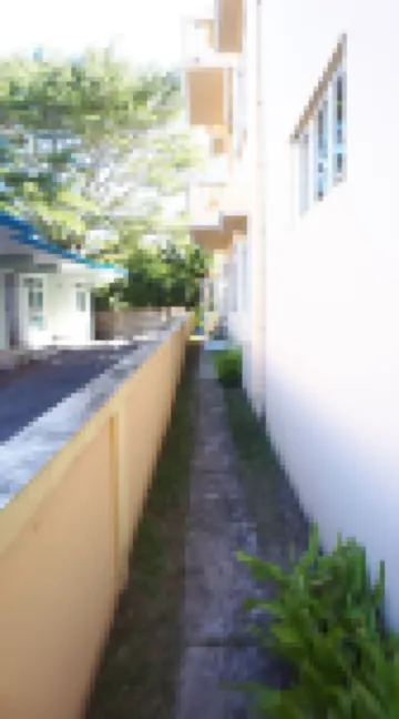 Allamanda Apartments - 100m Bain Boeuf Beach