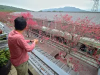 Sanyi Wei Wei Feng B&B Hotels near Fugui Mudan