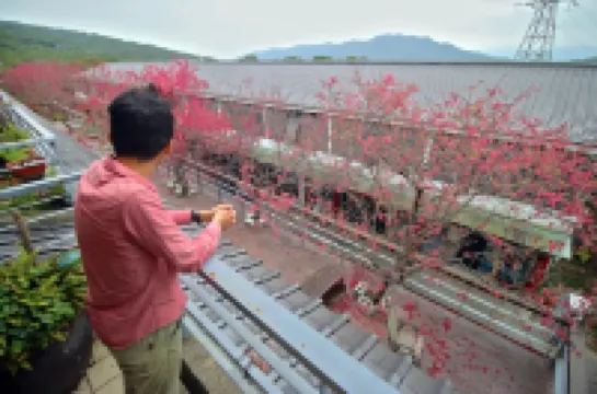 Sanyi Wei Wei Feng B&B