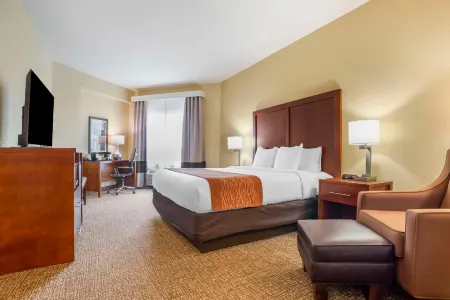 Comfort Inn & Suites Daphne Spanish Fort - Mobile East Отели в г. Болдуин