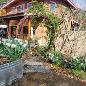 The Nest in South Eugene Hotel Exterior
