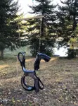 Green Plains Cabin