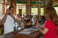 Our Jungle Camp - bar