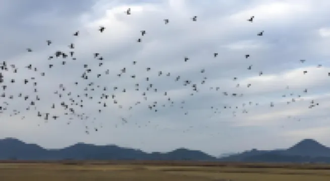 Suncheon Bay Pension