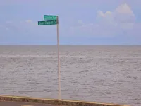 Seaside Exotic Studio: Walk to the seawall and Suva City: Free Wifi & Parking