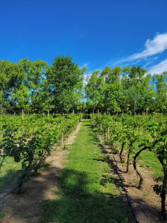 Finca la Saucina Casa de Campo