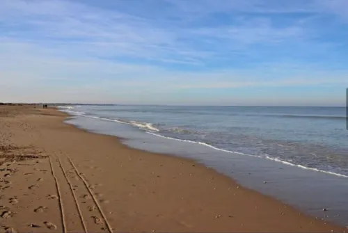 Cosy studio near the sea