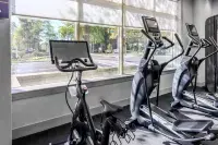 Hampton Inn & Suites by Hilton Arlington Crystal City DCA