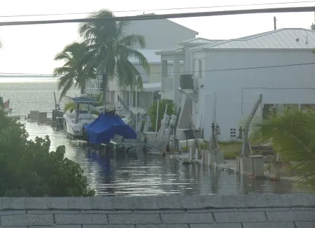 Banana Republics - Located in Paradise Отели в г. Биг-Пайн-Ки