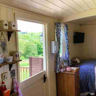 Lilly's Pad Rooms