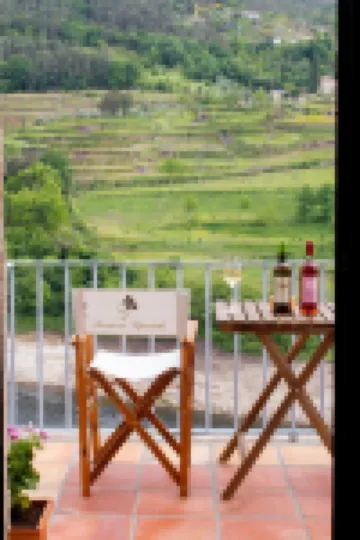 Quinta do Tapadinho - Tâmega Terrazza Loft