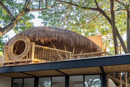 Amazing apartment with private terrace in Mérida