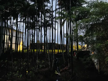 Hilo SunShine Rental.2bds1ba,common swimming pool. Отели рядом с достопримечательностью «Зоопарк Панаева Рейнфорест»