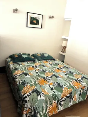 Magnificent F2 Historic Center Montpellier