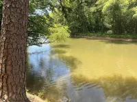 Chauga River Cabin