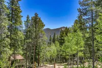 Cozy Mountain Cabin 1 Hour from Denver Backs up to National Forest EV Charging!