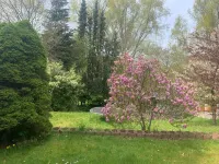 Cozy 2 room apartment with XXL garden in the center of Bad Schwartau, close to the Baltic Sea! Các khách sạn ở Bad Schwartau