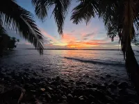 REEF HOUSE: Waterfront, Caribbean Paradise Jungle Cabin in Bastimentos w/ AC