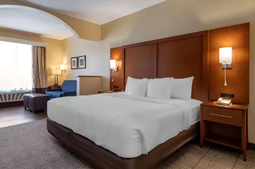Comfort Suites Near Texas Medical Center - NRG Stadium
