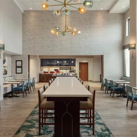 Hampton Inn and Suites by Hilton Tampa Busch Gardens Area