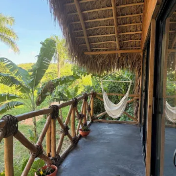 Dominican Jungle Resort