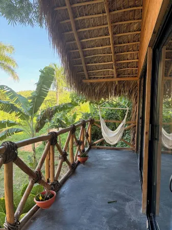 Dominican Jungle Resort