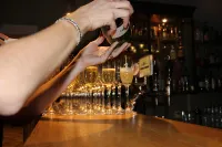 Blommenhof Hotel - bar