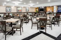 坎頓洲際智選假日套房酒店 - 早餐