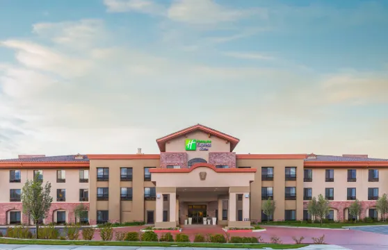 阿塔斯卡德羅智選假日套房酒店