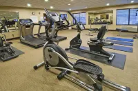 Holiday Inn Express & Suites ORO VALLEY-TUCSON NORTH by IHG - Gym
